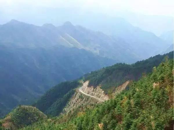 合肥周边自驾游，合肥周边10大自驾目的地（合肥周边骑行或自驾游风景超美的7条公路推荐）