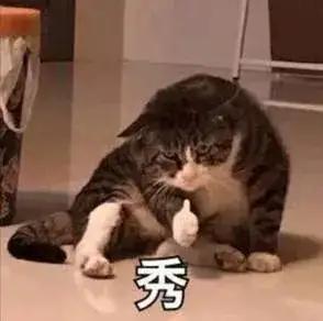 上海 自考招生，2022年上海自考什么时候报名（2021年自考“大改革”）