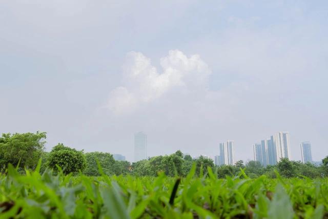 深圳十大免费景点，深圳十大必玩免费景点排名