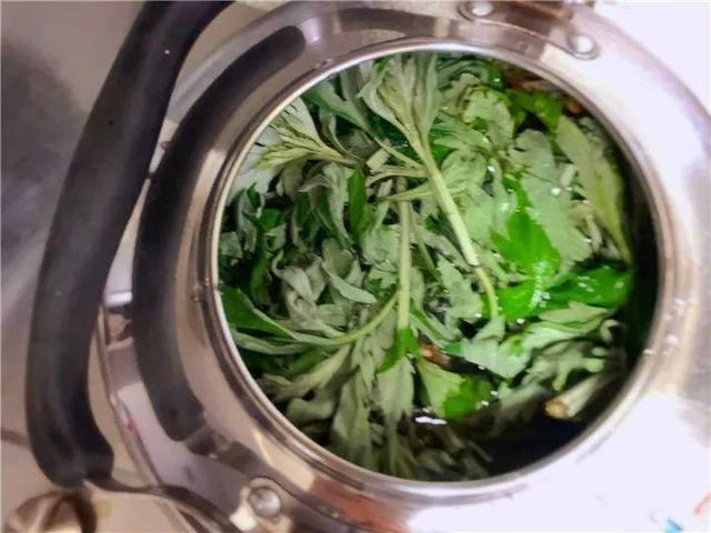 家里有鼻涕虫怎么消灭，鼻涕虫怎么彻底消灭（自制天然杀虫水）