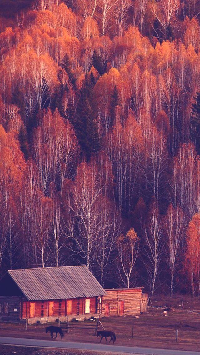 乌鲁木齐到布尔津，乌鲁木齐到布尔津怎么走（新疆最美自驾路线之一）