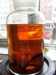 狼牙什么属相的人不能佩戴，不适合带狼牙的属相（这5种动物首饰你还敢戴）