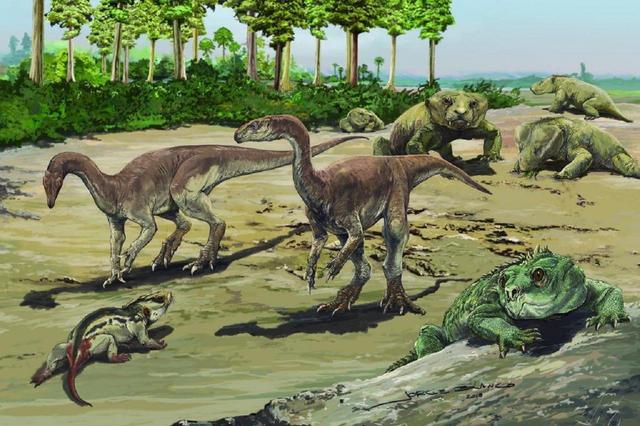 第六次生物大灭绝，地球正进入第六次生物大灭绝（5次生物大灭绝地球经历了什么）