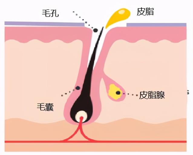 如何改善油性皮肤，油性皮肤如何改善（让油皮拥有清透肌肤）