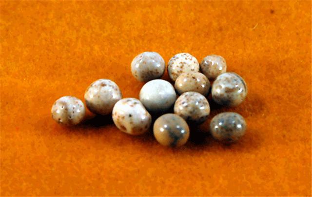 舍利子是什么东西，舍利子是什么东西科学解释（为啥容易形成舍利子）