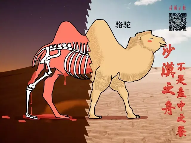 牛蛙属于海鲜吗，牛蛙算海鲜吗（这份野生动物名录仔细看一下）