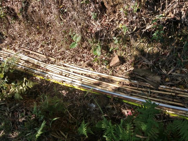 水往低处流是什么原理，水为什么往下处流（水为什么能长久向高处流）