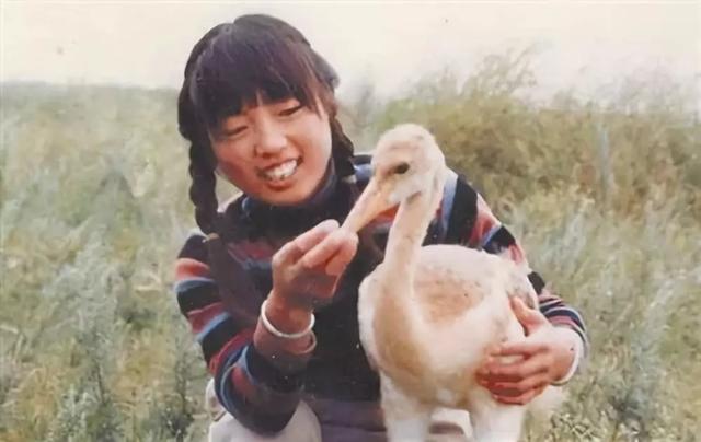 感动中国的歌曲，感动中国歌曲（全网最感人的6首歌）