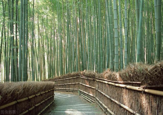 烟笼寒水月笼沙的意思，烟笼寒水月笼沙什么意思（诗中的互文与互体）