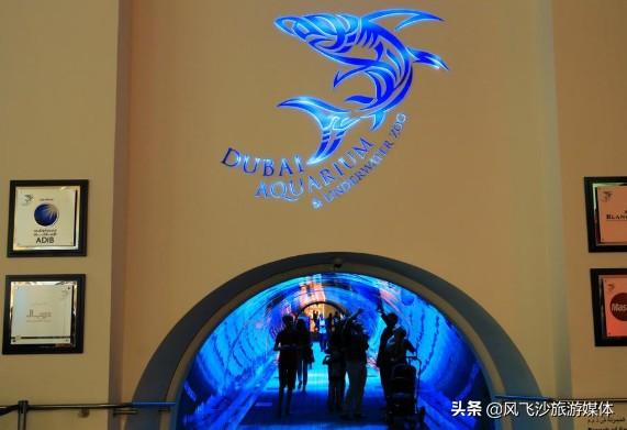 迪拜在什么地方，迪拜在哪里（你想知道的迪拜，都在这里了）