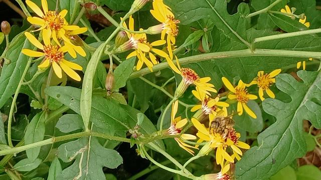 怎么进入深度睡眠，教你如何进入深度睡眠（睡眠的秘密——不再失眠和快速进入深度睡眠的方法）