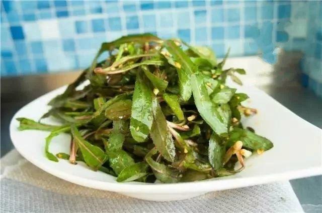 做清明果的草叫什么草，做清明果的那种草叫什么（春天不可错过的4种野菜）