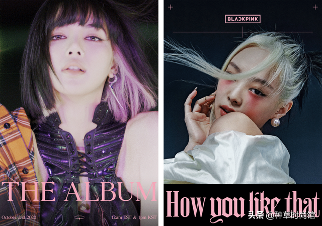 好看的头发颜色，染什么颜色头发好看（这5款又撩又显白）