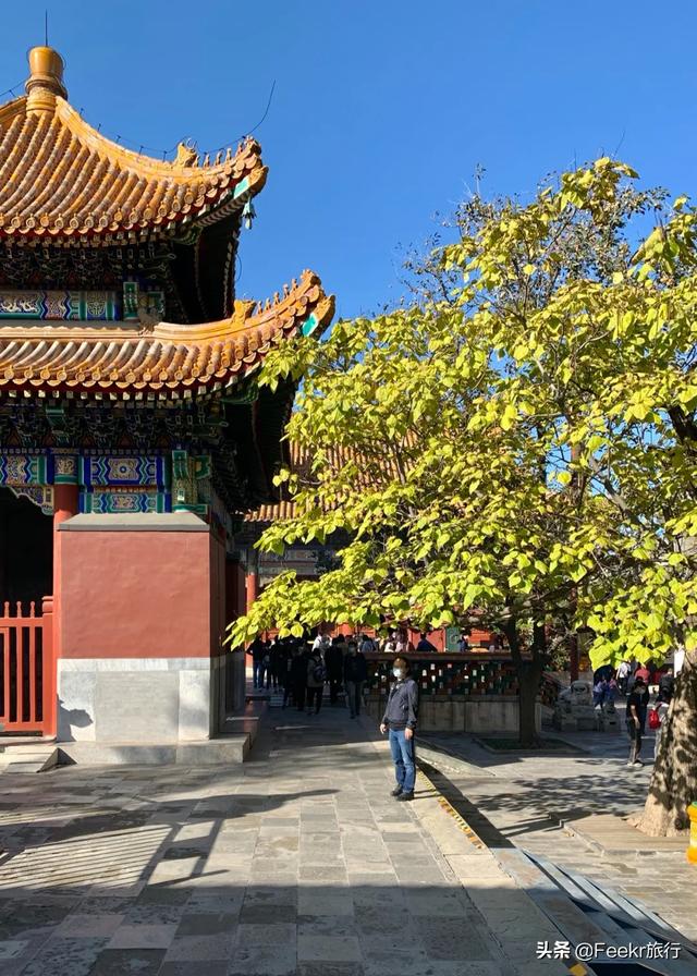 大栅栏有什么好玩的，大栅栏有什么好吃好玩的（来这些藏身胡同里的好去处一探究竟）