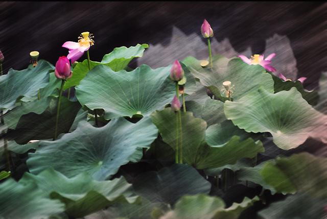 一帆风顺的拼音，出门吉利的成语（含有“风”的成语）