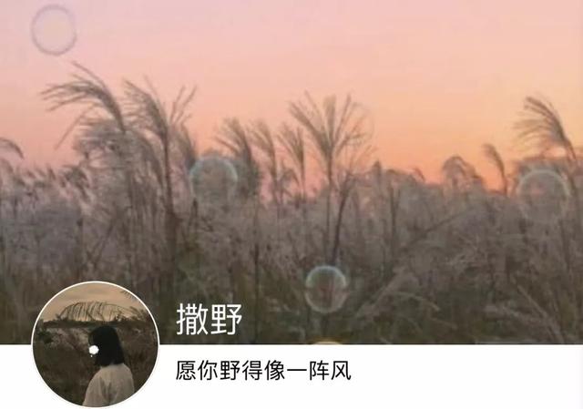 动漫帅哥美女图片，帅哥美女杂图（图王鲨鱼哥第33期33套微信头像加背景图）