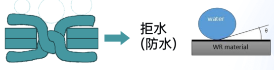 future微信昵称（未来）网名，future微信昵称（未来）微信昵称（穿上立马“爱不释脚”）