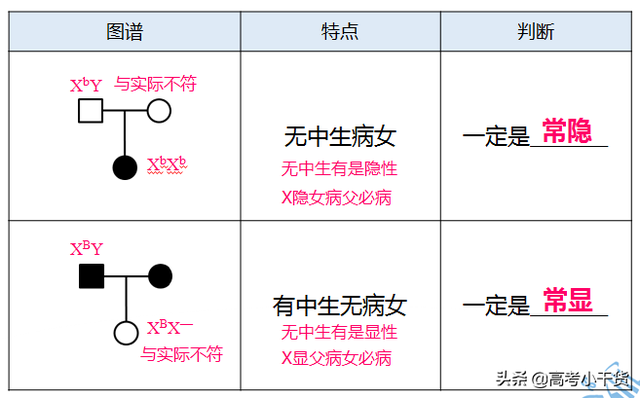什么是基因的遗传信息，什么是基因的遗传信息传递（<基因、遗传篇>建议收藏）