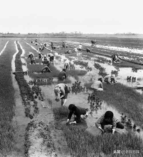 大炼钢铁是哪年，大炼钢铁是哪年下马的（新中国“大跃进”时期工农业生产场景）