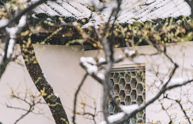 谈谈何谓批判性思维，如何培养自己的批判性思维