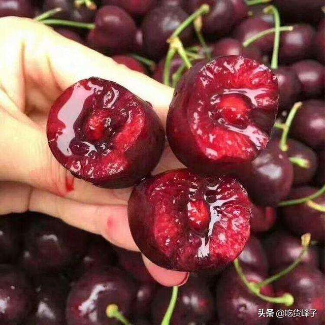 车厘子和樱桃的区别，车厘子和樱桃是同一种水果吗（车厘子和樱桃到底有何区别）