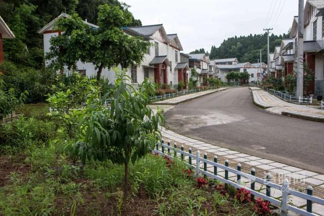 安岳石刻与玄应的由来，安岳石刻历史（这里是安岳）