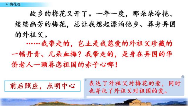 梅花魂的意思，部编版五年级下册第4课《梅花魂》图文讲解+知识点梳理