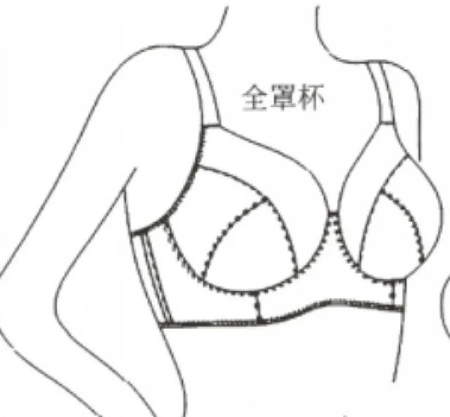 乳房形状大小会决定女人性格，决定乳房大小因素（有一份女生的“内”在美）