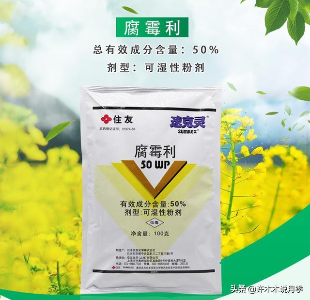 月季常见病虫害及防治方法，月季的病虫害防治（十二种月季常见病害防治教程）