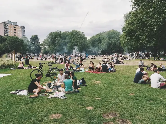 picnic是什么意思，picnic意思（最野的野餐，只在朋友圈里）