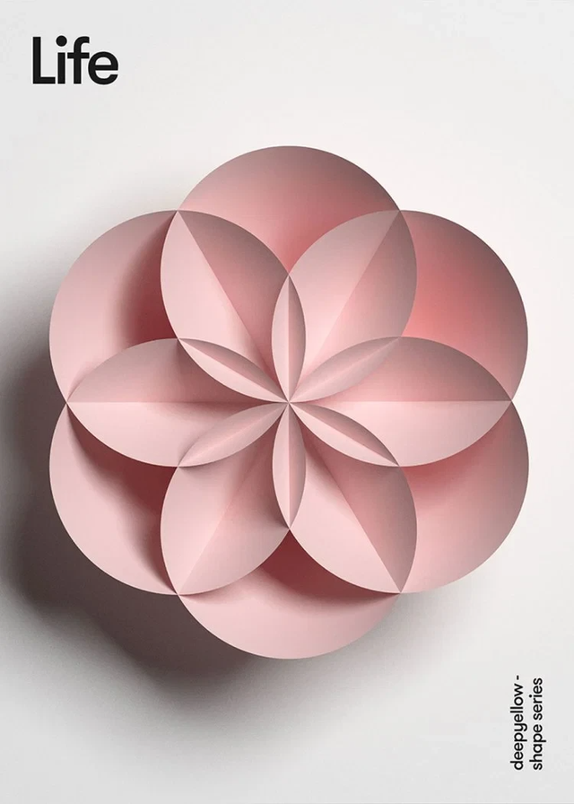 玫瑰花唯美ins风景清新意境美图，ins玫瑰图片复古风（摄影中的花之美）