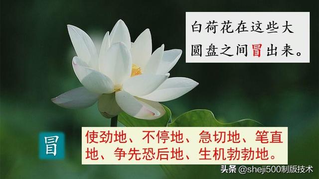 莲蓬的蓬是不是读轻声，莲蓬的蓬为什么读轻声（部编版语文三年级下册第3课《荷花》图文讲解）