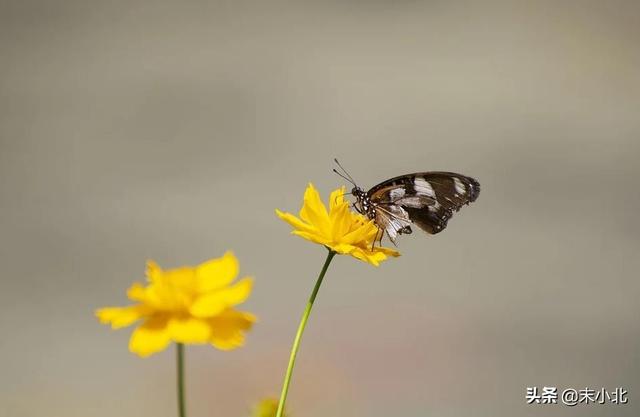 你嘴巴那么毒 心里一定特别苦，你嘴巴那么毒你男朋友有尿毒症吧（是一个人最大的恶意图片）
