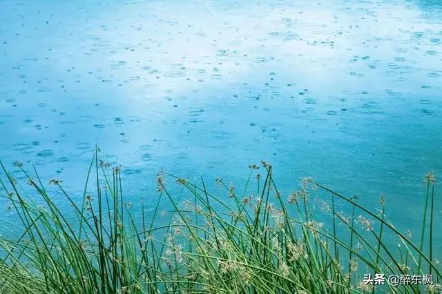 春夜喜雨的古诗，春夜喜雨的八句诗（杜甫的《春夜喜雨》）