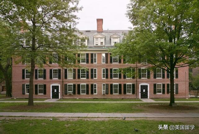 个人陈述范文模板，个人陈述模板（如何写好个人陈述）