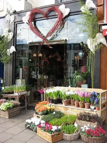 鲜花店怎么开(工艺鲜花店怎么开)