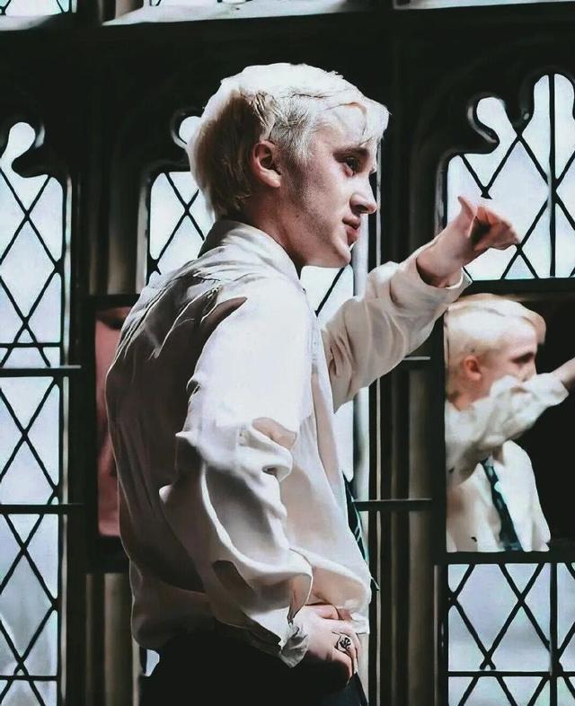 说到霍格沃茨魔法学校里的"斯莱特林院草",非德拉科·马尔福莫属了.