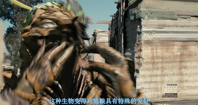 九岁酷皇后*，九岁酷皇后为什么不更了（《第九区》距今已十年了）