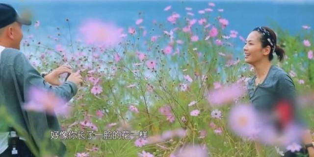 王柯唐建是什么电视剧中的人物，王健是哪部电视剧里面的人物（《我们都要好好的》热播）