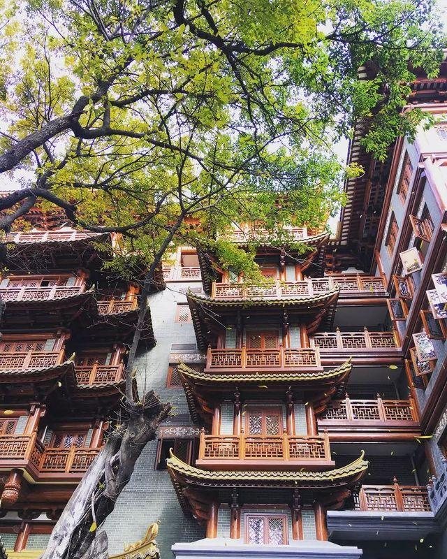 广州自助餐厅推荐，广州市天河区哪里有得自助餐吃（广州 10 家超强自助餐攻略）