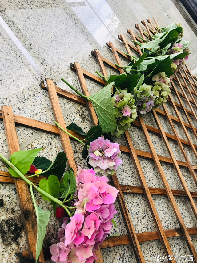 怎么做干花，干花的制作方法，必须要掌握（怎么做干花）