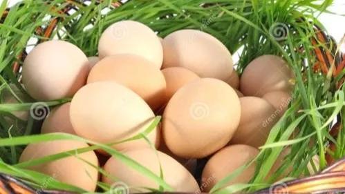 肾炎发烧多少度，慢性肾盂肾炎发烧多少度（肾炎病人急性期不能吃什么东西）