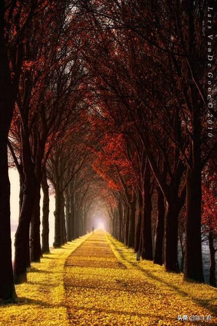 内蒙古人所说的风季是哪个季节，蒙古人的风季是什么季节（中国历史地理常识大全）