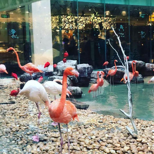 广州自助餐厅推荐，广州市天河区哪里有得自助餐吃（广州 10 家超强自助餐攻略）