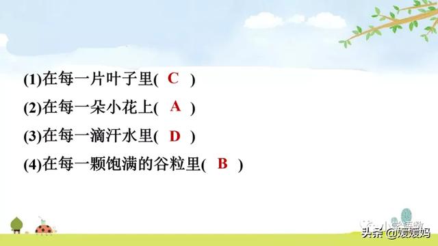 叮咛的近义词是什么，部编版三年级语文上册第7课《听听