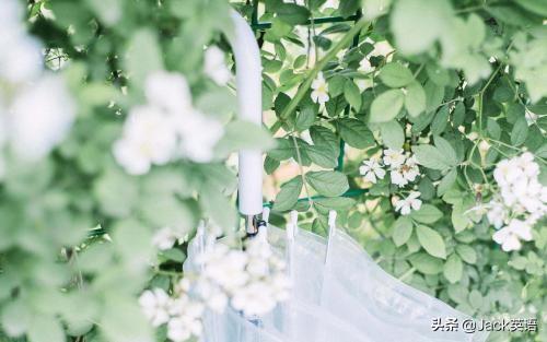 ninety的序数词，ninety的序数词怎么写（nineth还是ninth）