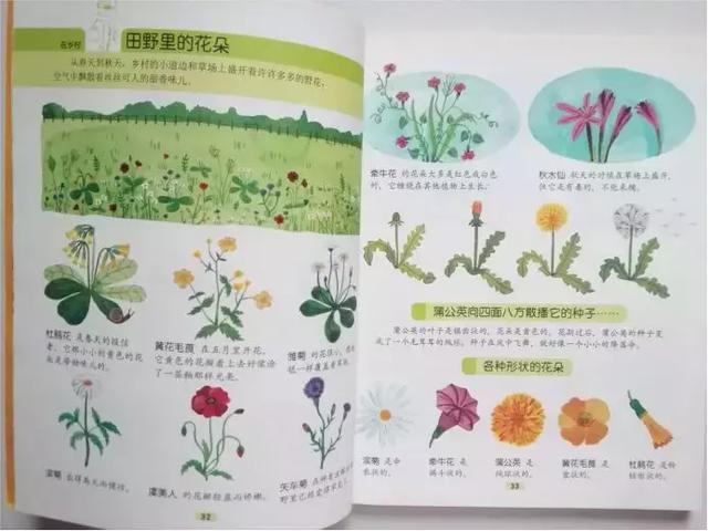 当时的恶金美金分别指的是,恶金美金指的是什么金属(世界顶级出版社的5套儿童百科全书) 当时的恶金美金分别指的是,恶金美金指的是什么金属(世界顶级出版社的5套儿童百科全书)