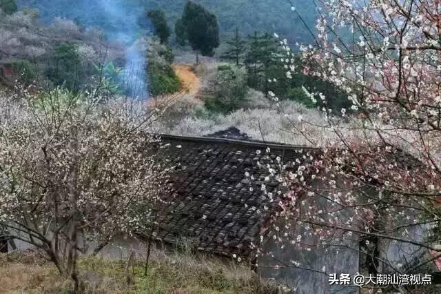 普宁八个风景名胜区，在普宁，适合去哪旅游