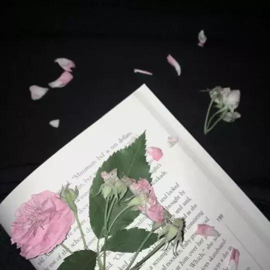 高清 唯美云朵高清背景图,微信头像,高清 唯美云朵高清背景图(柔柔的风透着花的味道) 高清 唯美云朵高清背景图,微信头像,高清 唯美云朵高清背景图(柔柔的风透着花的味道)