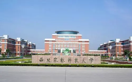 陕西所有大学排名，陕西所有大学排名一览表（陕西省高校排行榜）